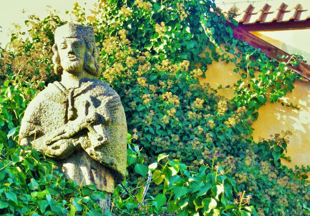 Garden Residence Prague Castle المظهر الخارجي الصورة